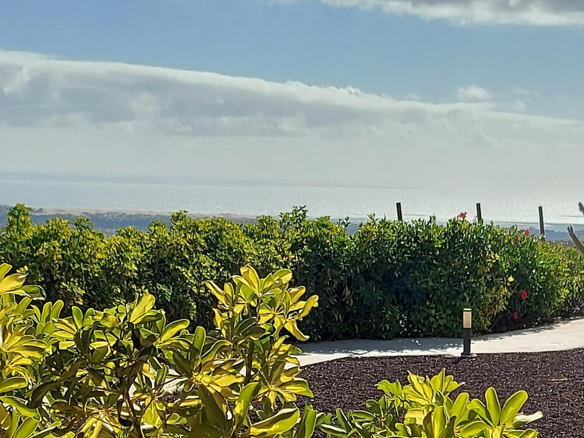 Landhuis The Black Horse Canarias - Adults Only *