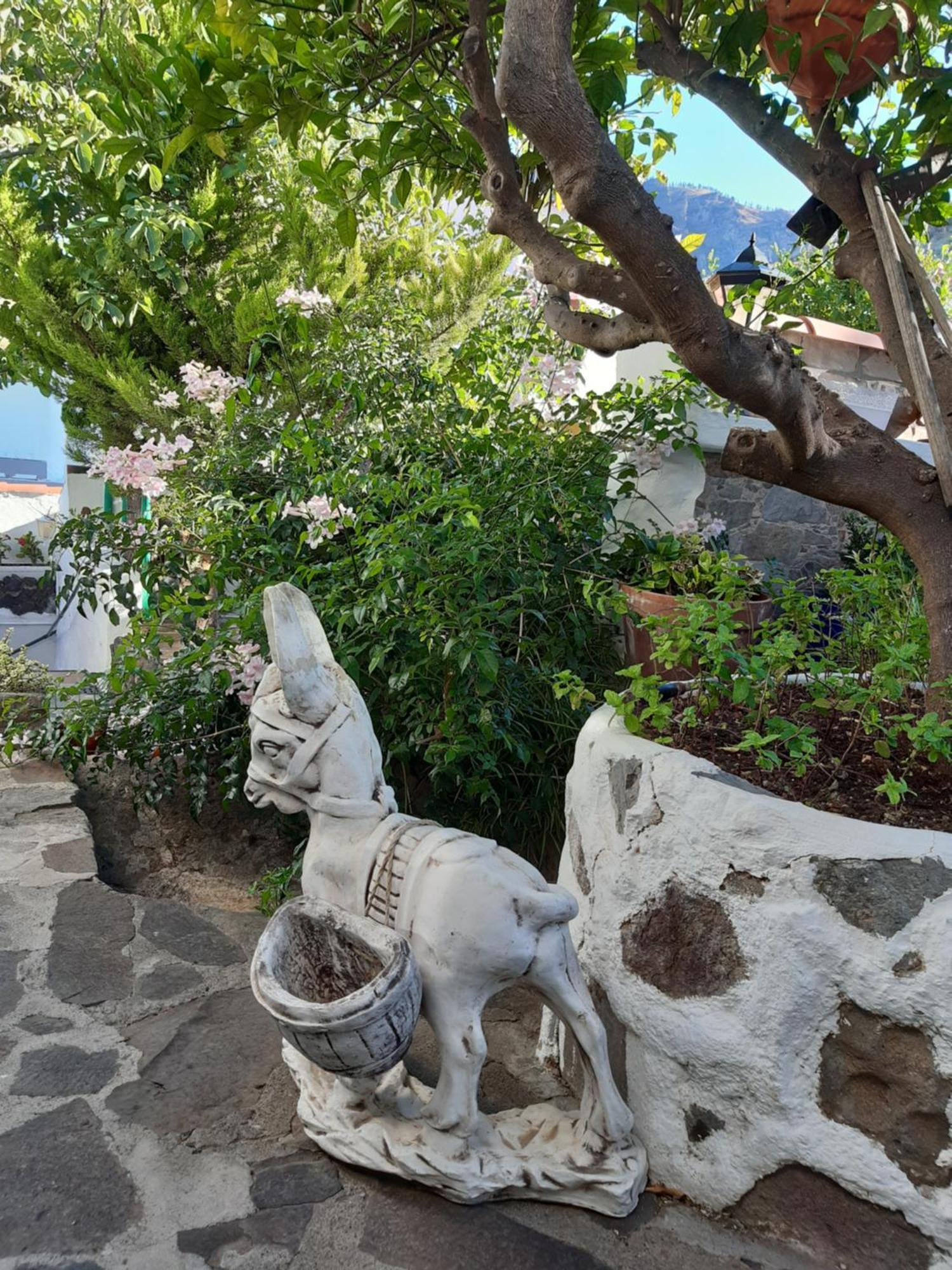 Casa Santana Segura