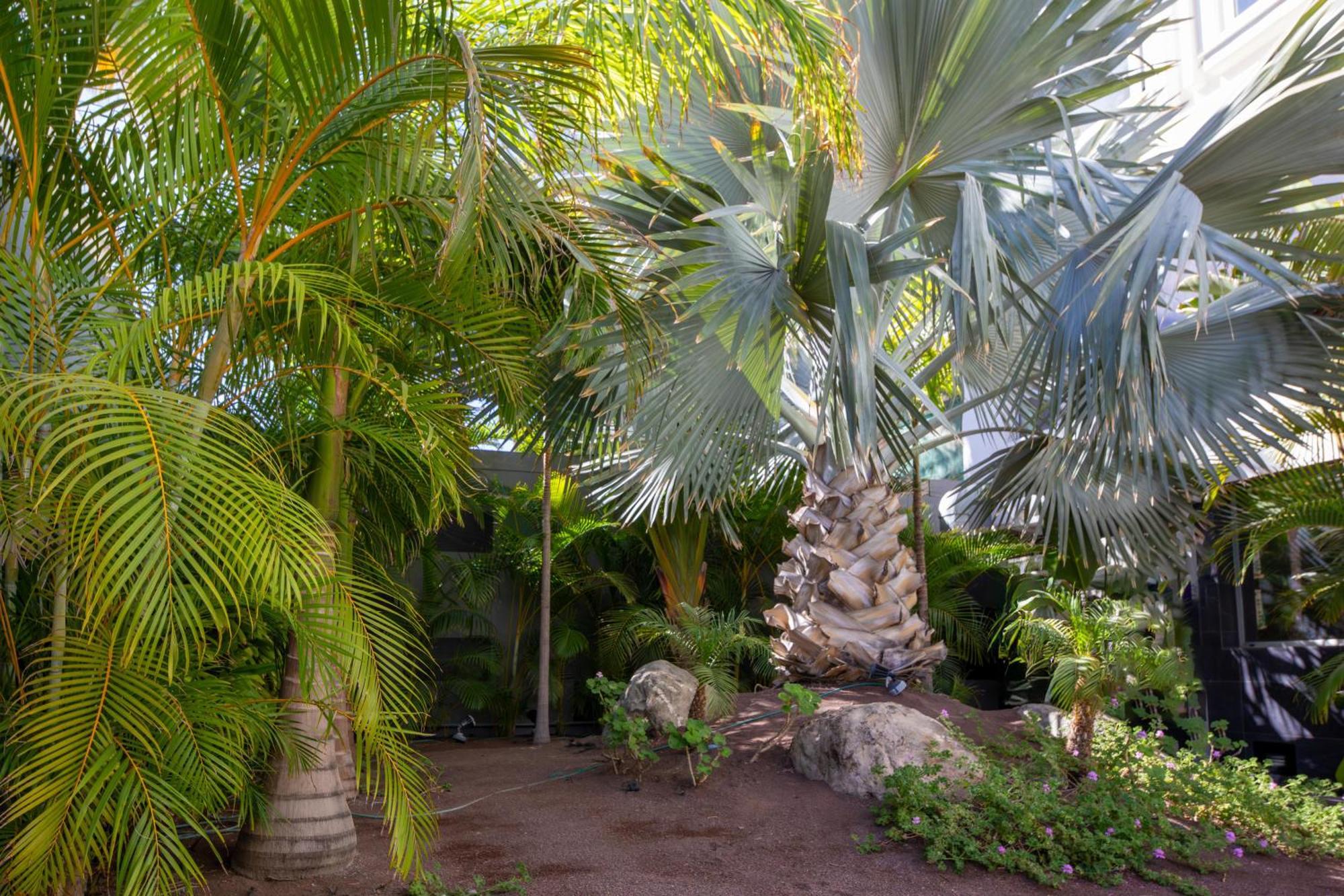 Labranda Marieta & - Adults Only Hotel Playa del Ingles (Gran Canaria)