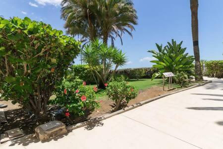 Costa Alegre Apartment *