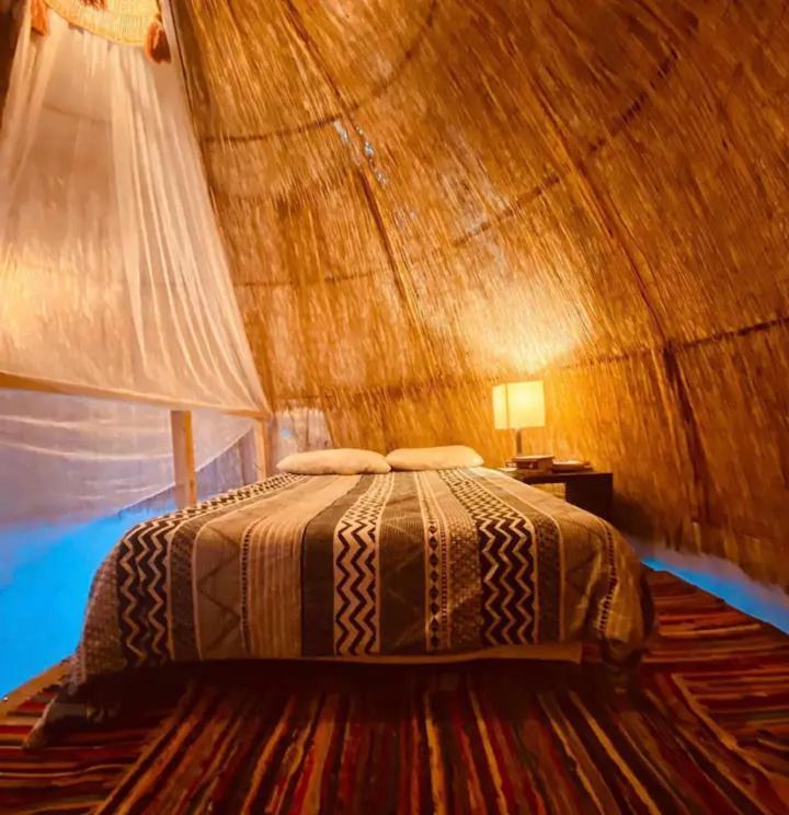 Camping Casa Caracol - Oaxaca Agaete (Gran Canaria)