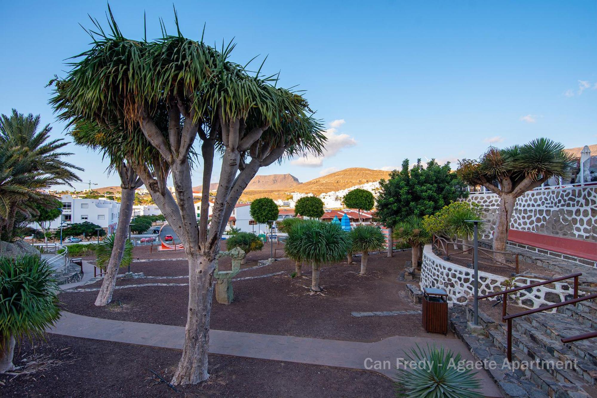 Fredy - Private Agaete Agaete (Gran Canaria)