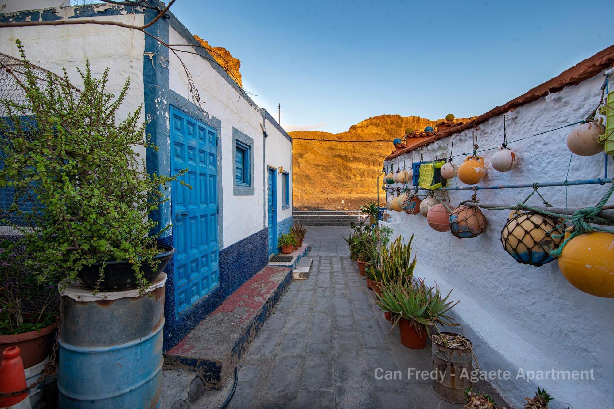 Fredy - Private Agaete Agaete (Gran Canaria)