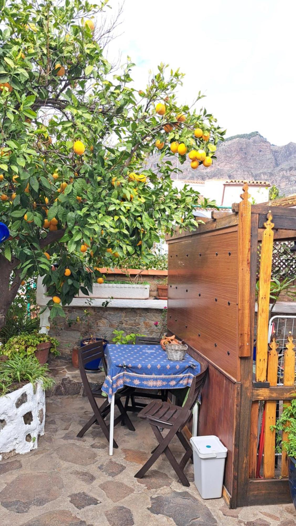 Casa Santana Segura Landhaus *