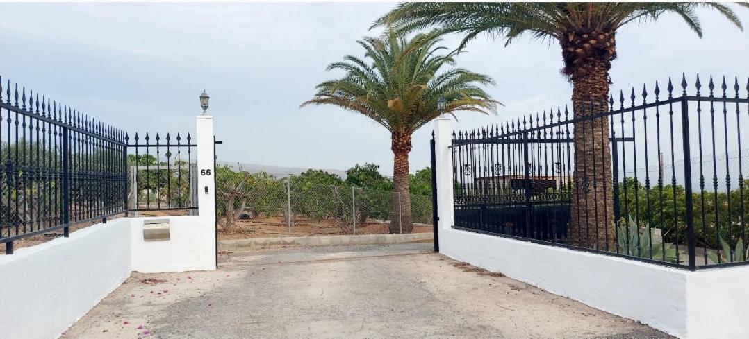 Landhuis The Black Horse Canarias - Adults Only