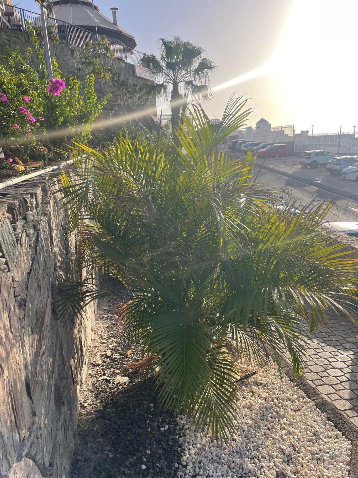 Sunny Modern - Sea View And Access Apartment Taurito