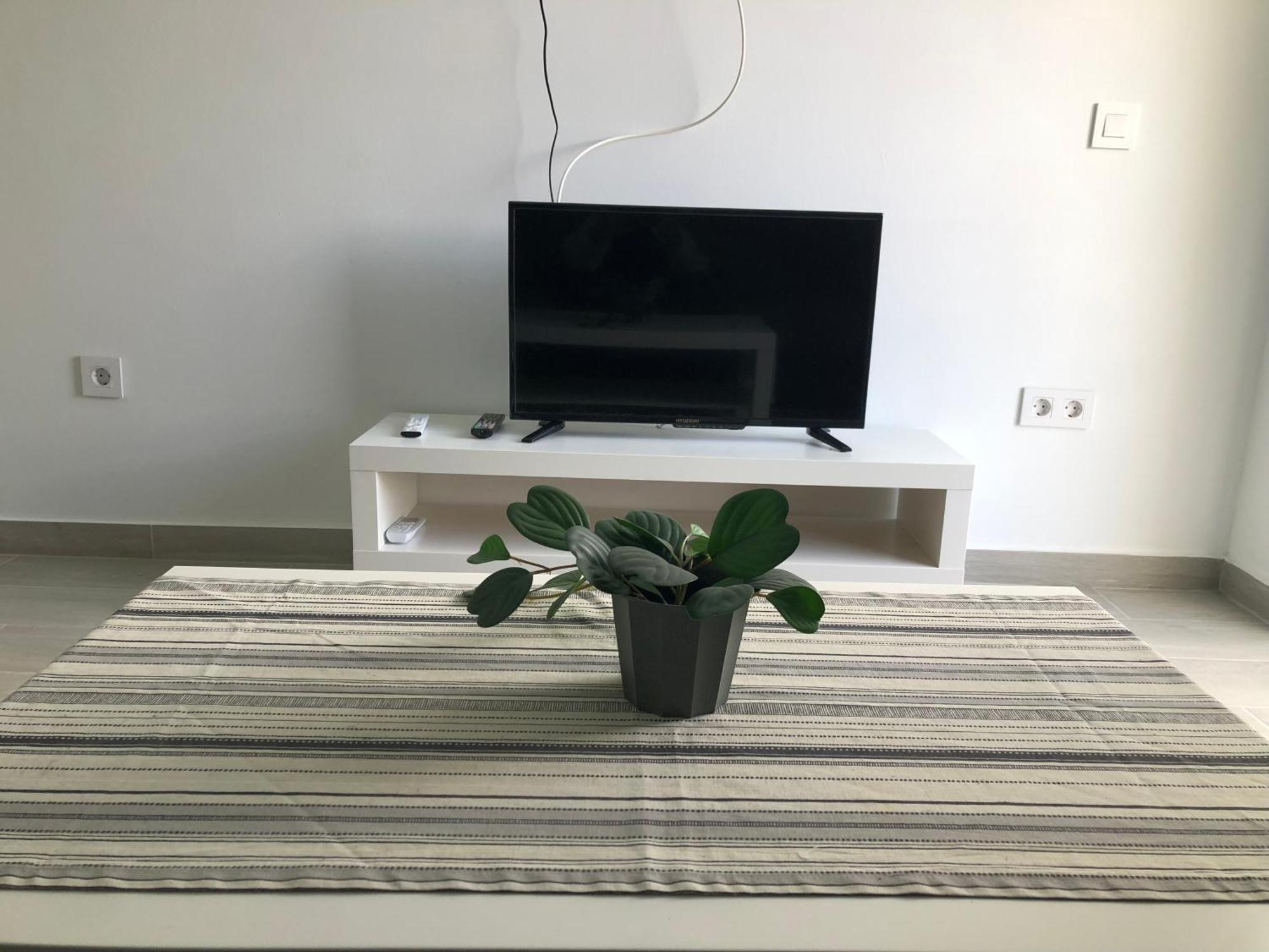Aloe
