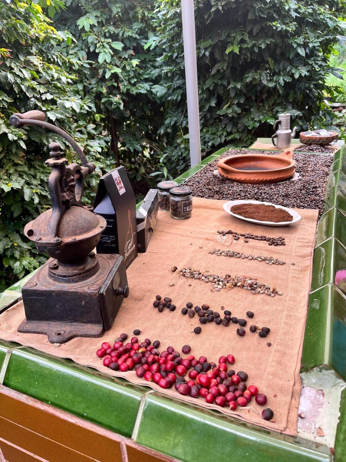 Casa de férias El Paraiso Valle *