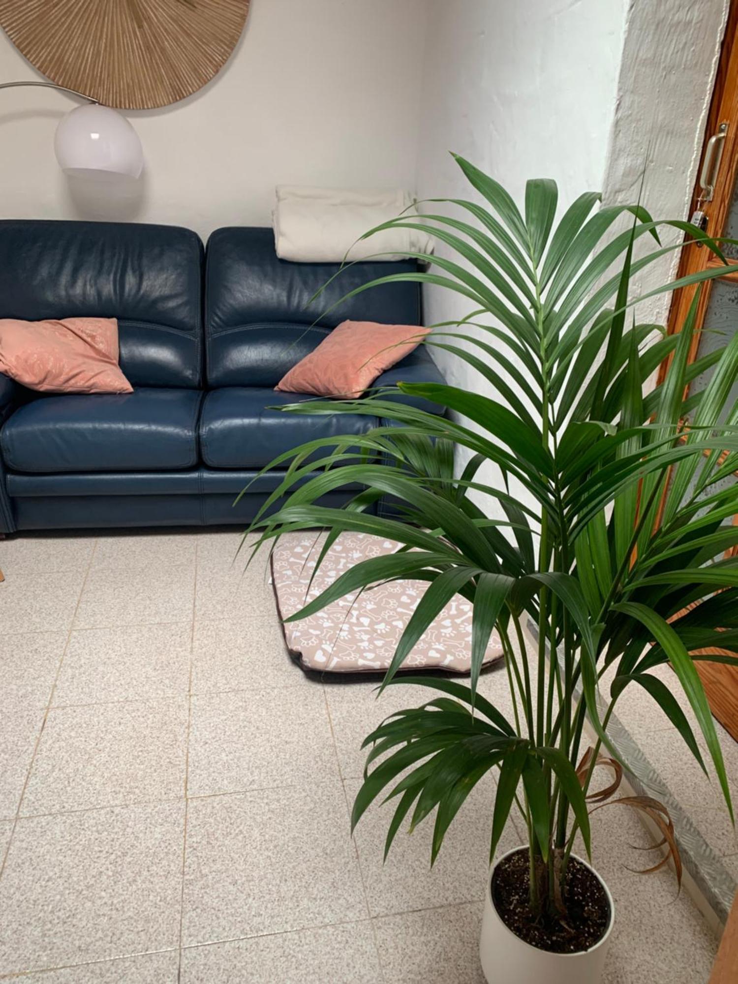 El Paraiso Valle Casa de férias *