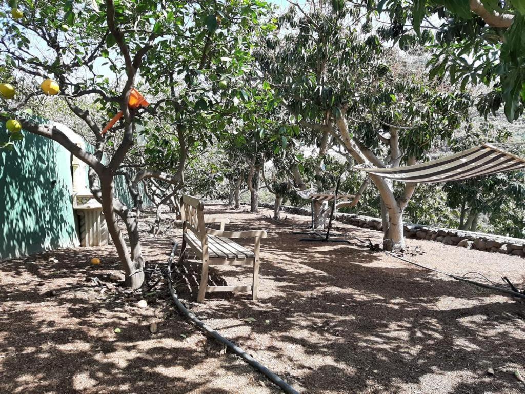 Oasis Holidays & Health - Charming Villa