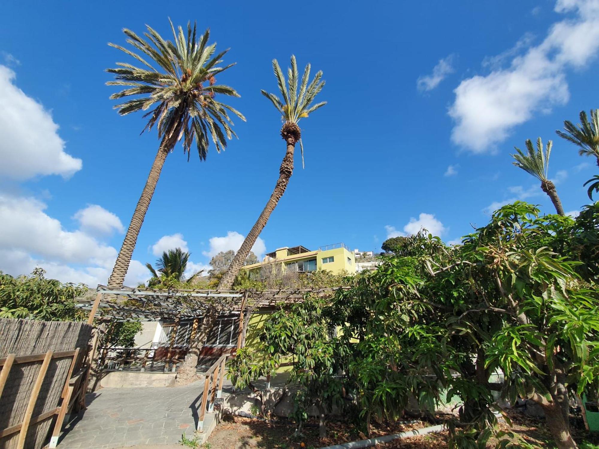 Oasis Holidays & Health - Charming * Balcon de Telde