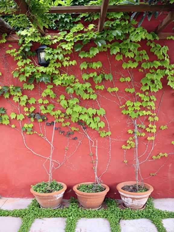 Country house Casa Rural Con Piscina Privada El Roble *