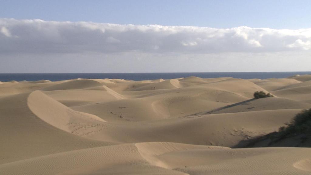 Resort Club Torso Gay Men Only Maspalomas (Gran Canaria)