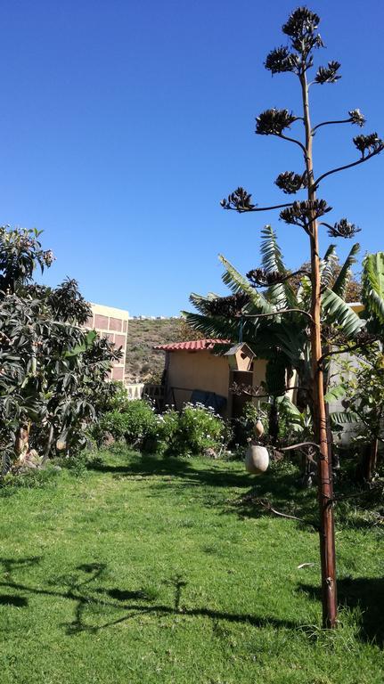 Villa Canaria Piscina Jacuzzi Jardin
