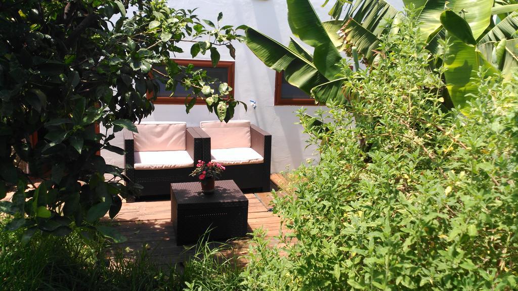 Canaria Piscina Jacuzzi Jardin *