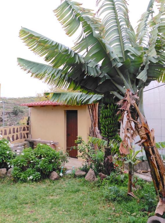 Villa Canaria Piscina Jacuzzi Jardin *