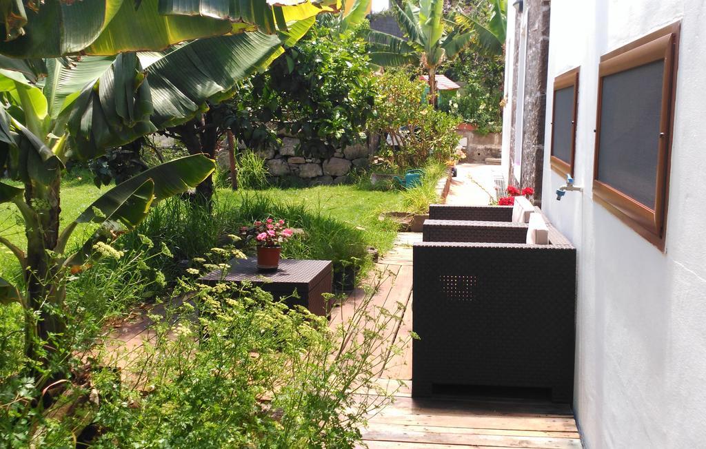 Canaria Piscina Jacuzzi Jardin