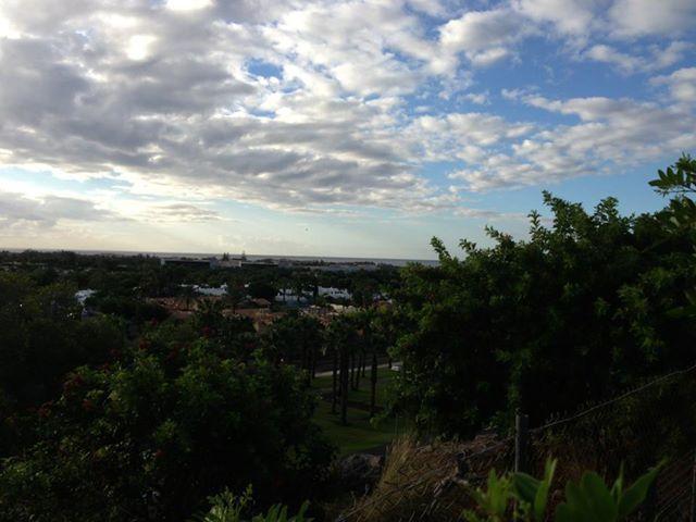 El Cardonal Sonnenland