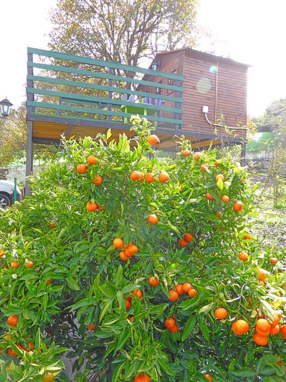 Holiday home La Alpispa Valleseco