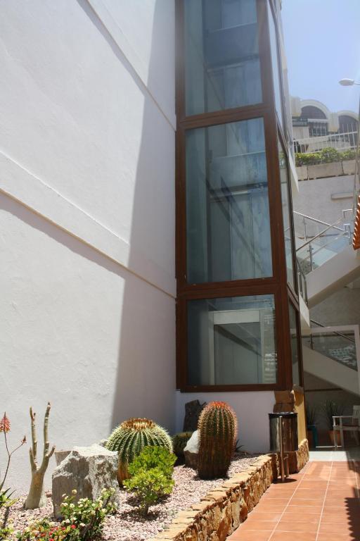 Mayaguez - Adults Only * Puerto Rico (Gran Canaria)