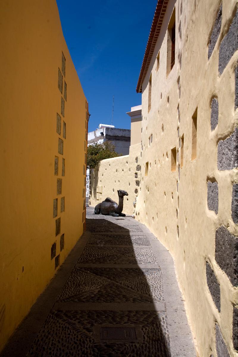 Rural Casa De Camellos * Aguimes