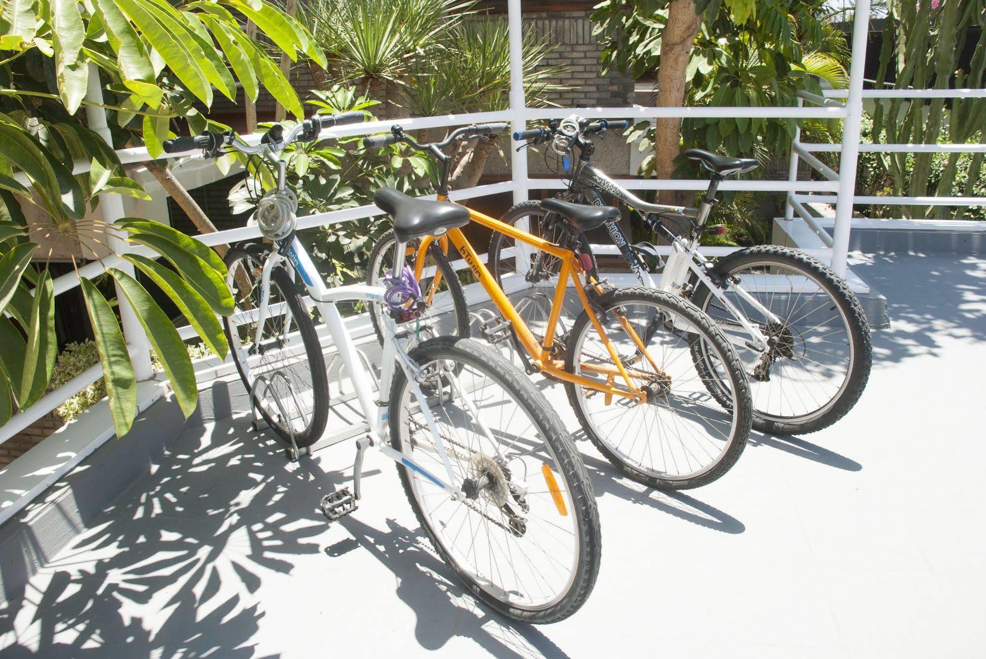 Apartamento El Paseo