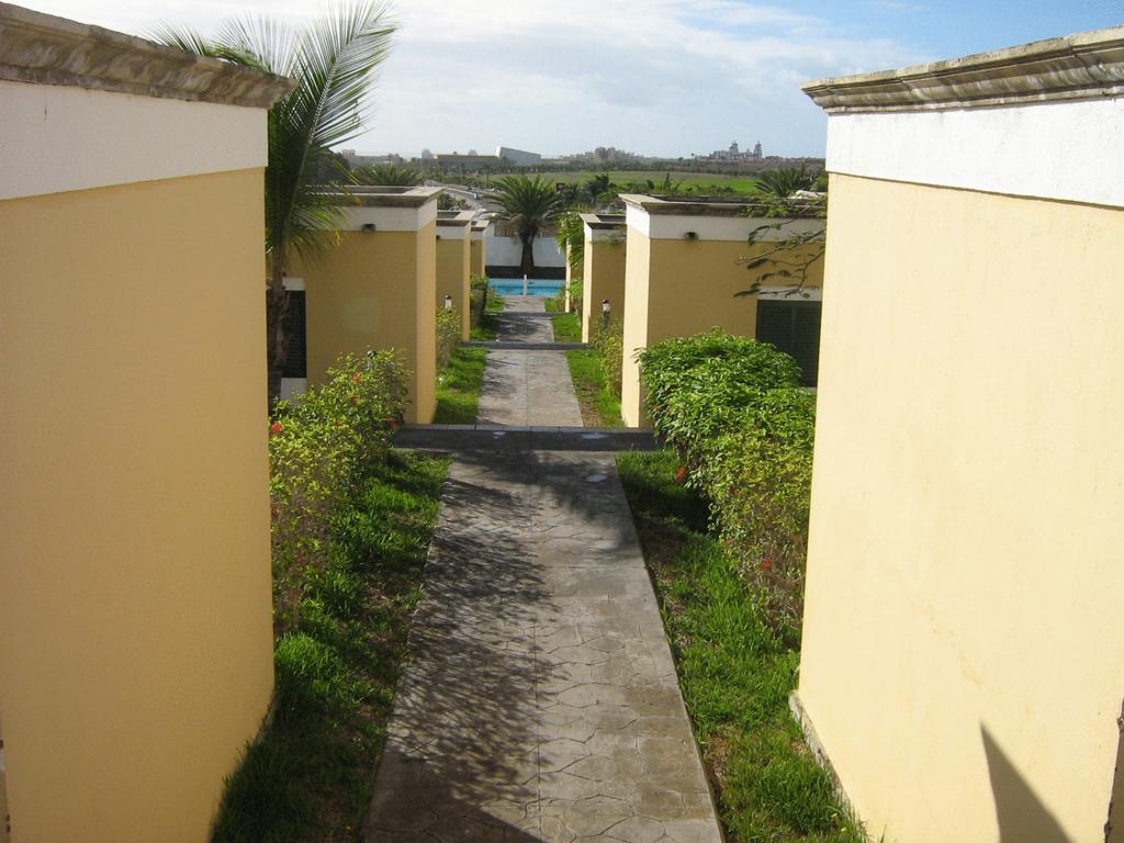 El Cardonal