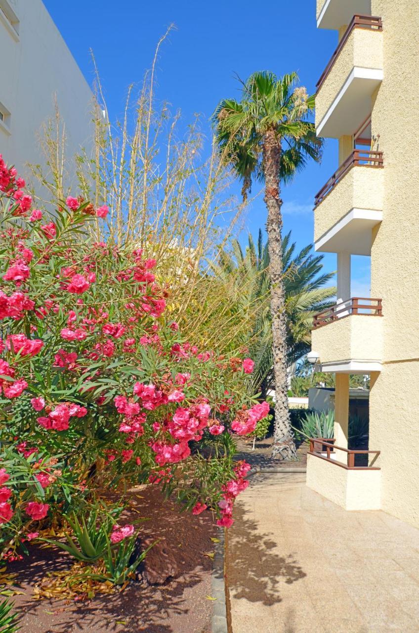 Juncos I Playa del Ingles (Gran Canaria)