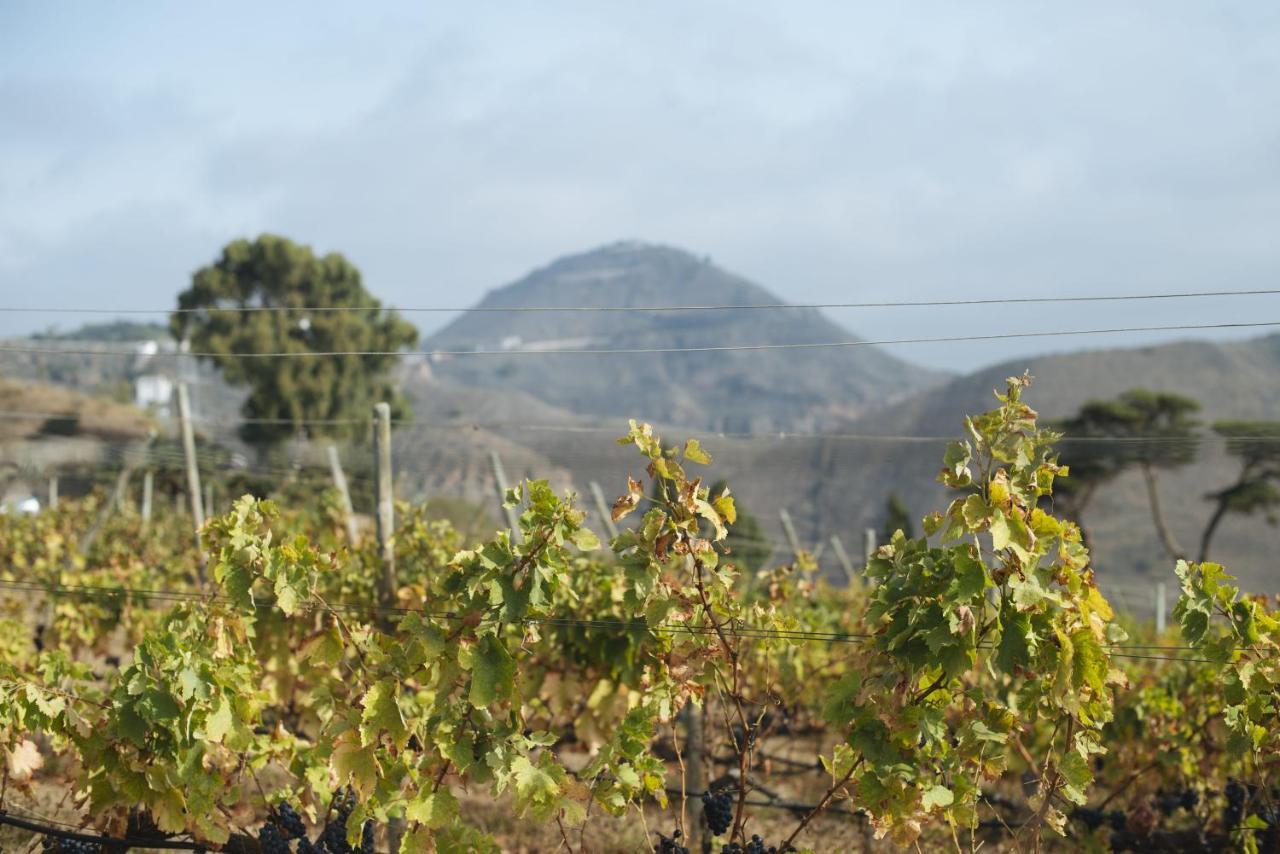 La Higuera Mayor Ferienhaus *