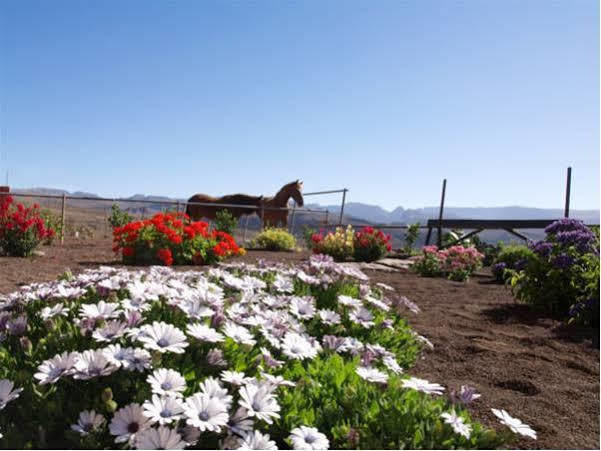 Landhuis The Black Horse Canarias - Adults Only *