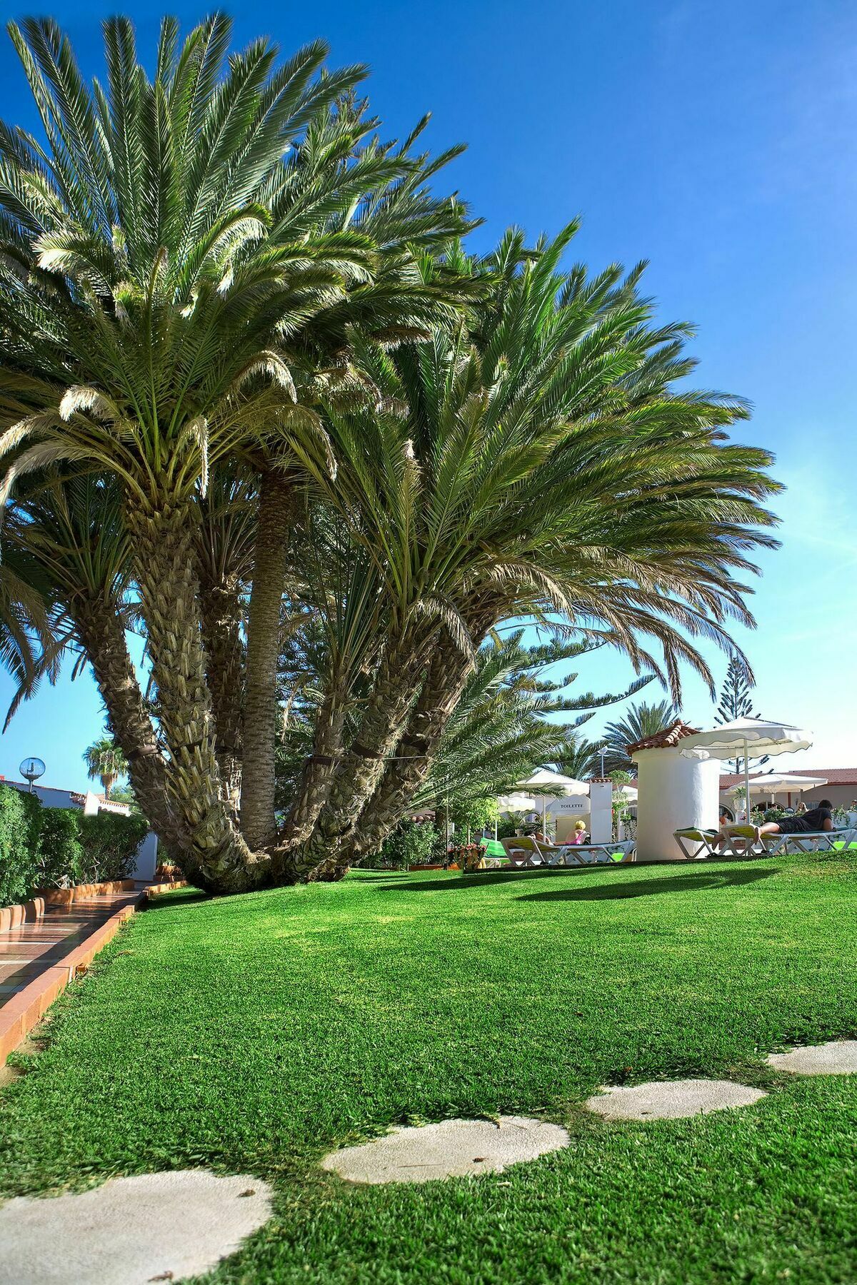 Hotel Parque Del Paraiso Ii Playa del Inglés