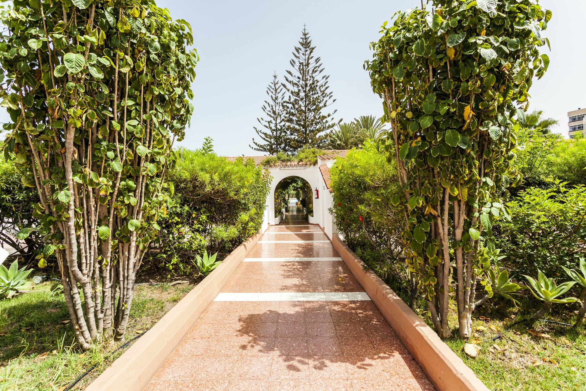 Parque Del Paraiso Ii