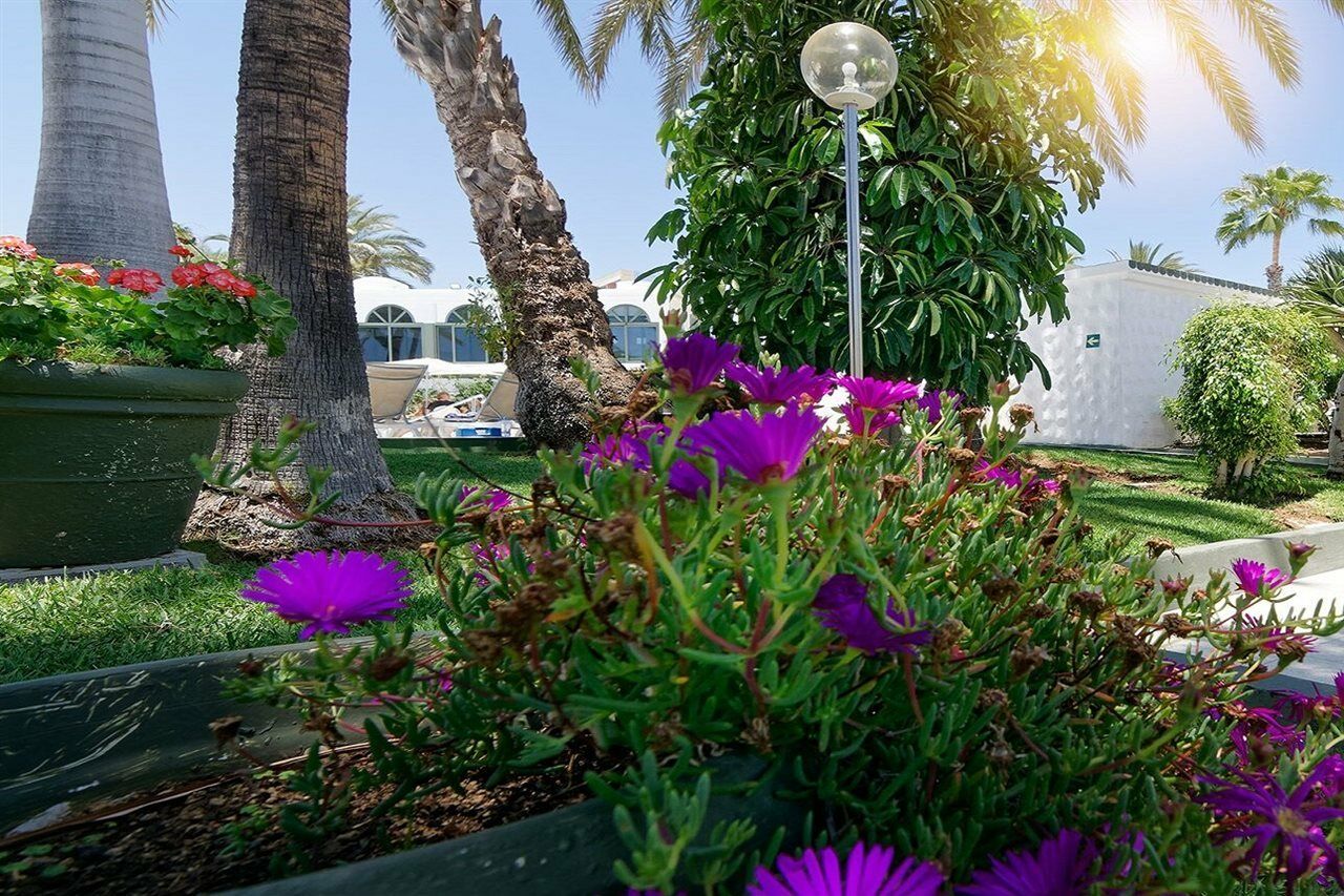 Parque Del Paraiso Ii
