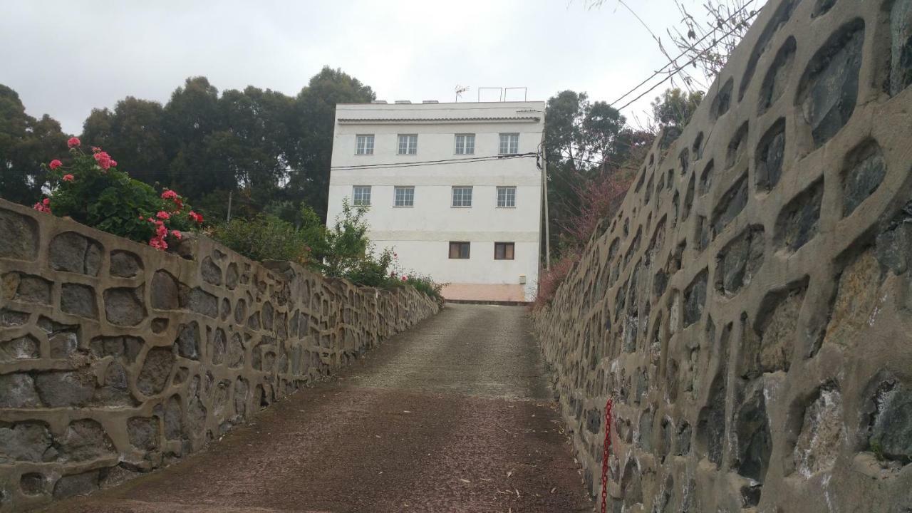 Del Pino Teror