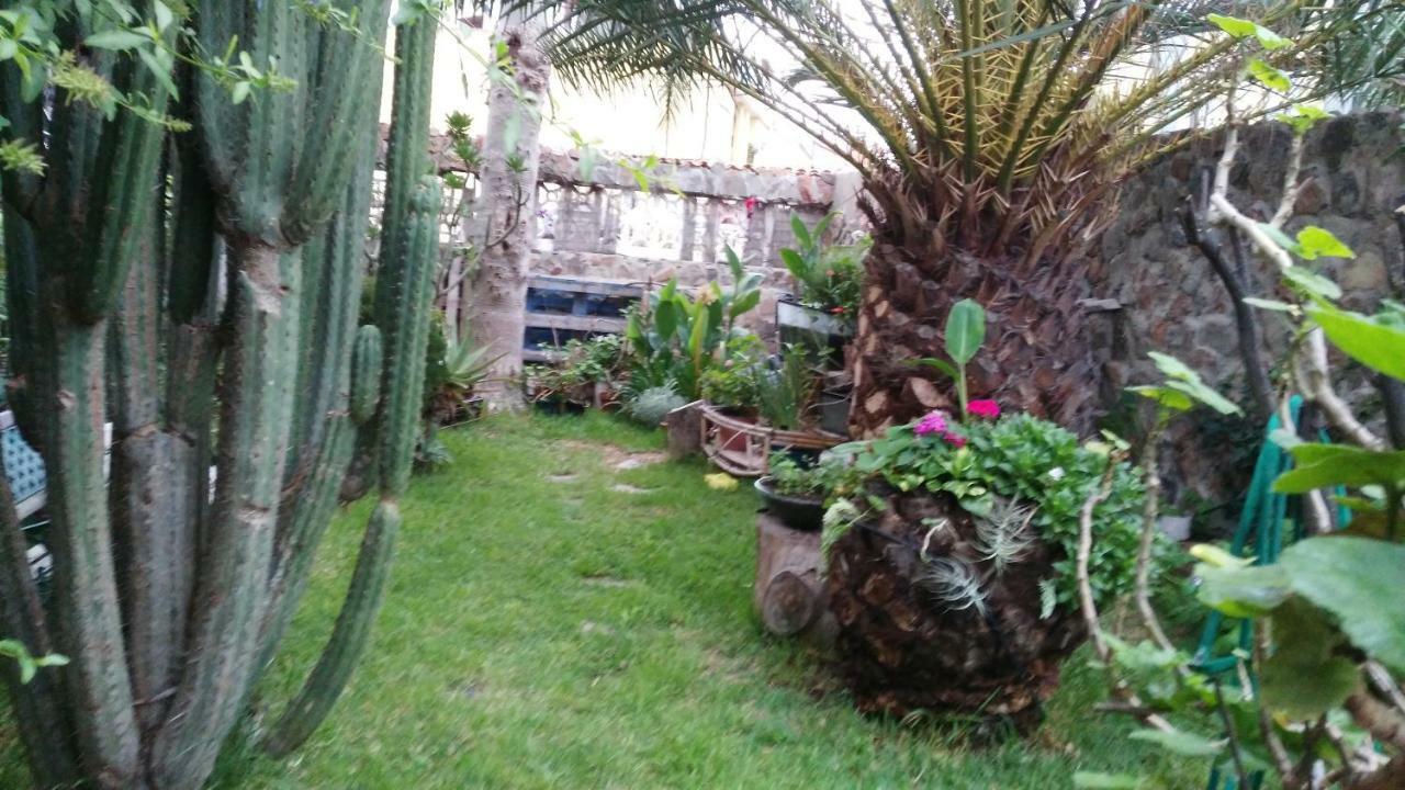 Casa El Drago-tafira Baja Hospedagem domiciliar Las Palmas de Gran Canária