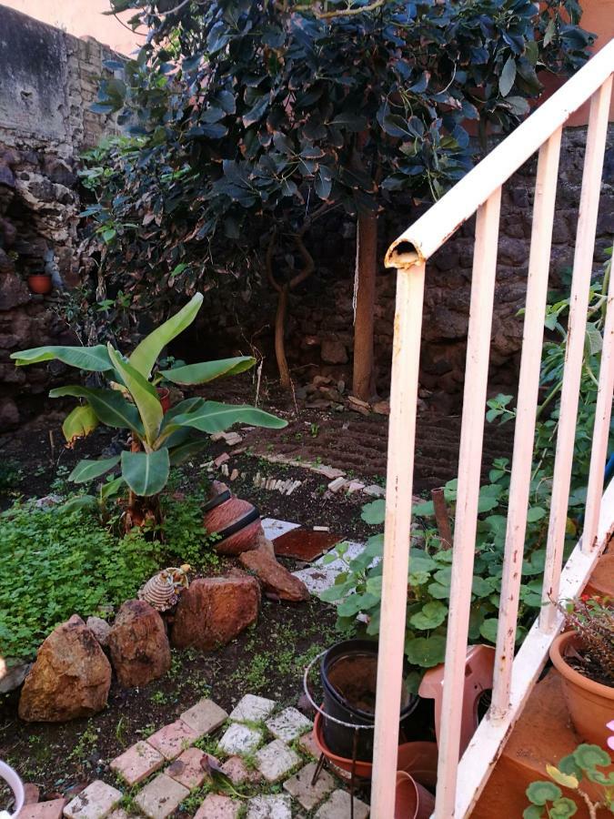 Residencia Conejos - Bike & Motorbike Homestay Las Palmas de Gran Canaria