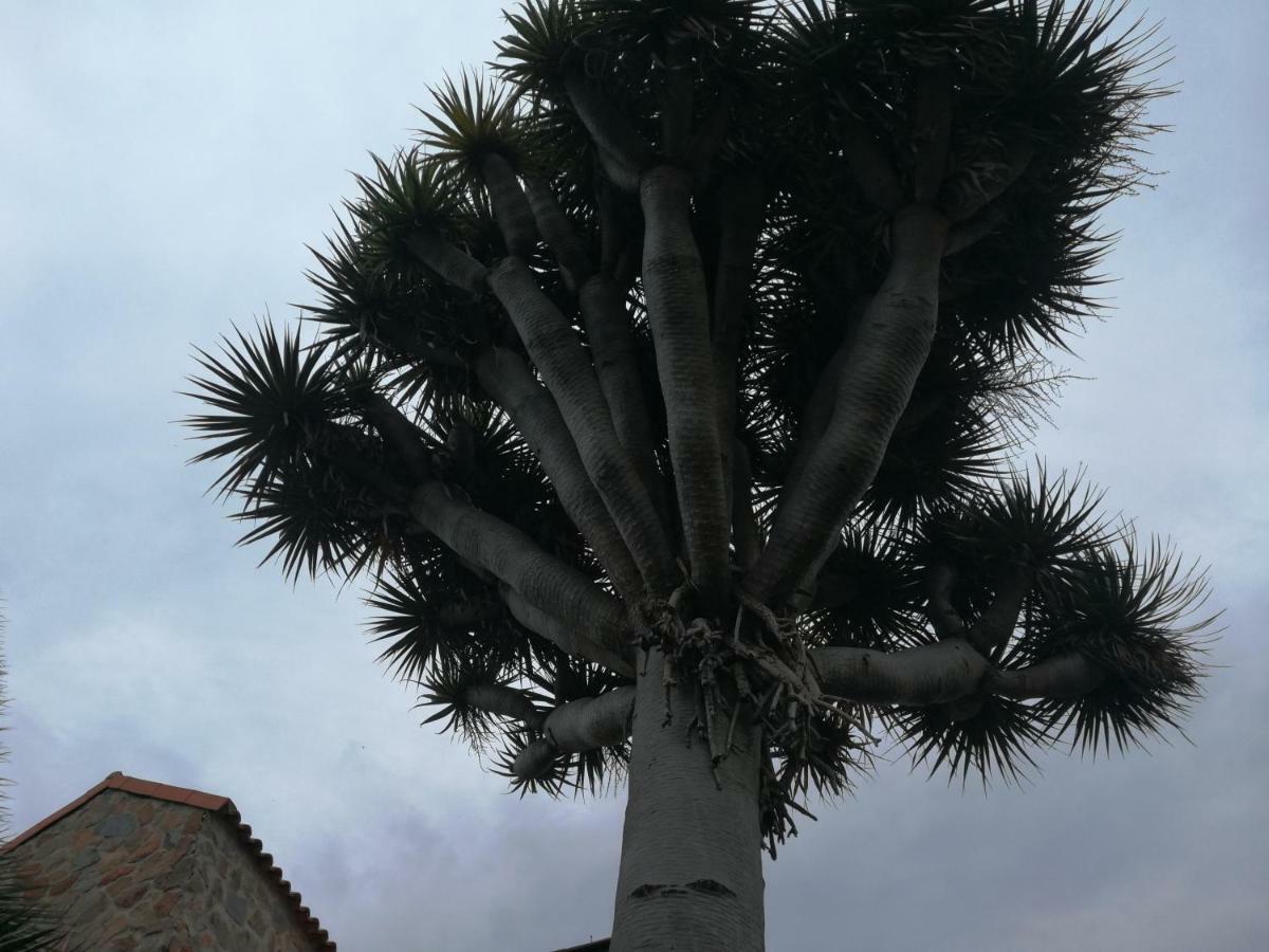 Casa El Drago-tafira Baja Hospedagem domiciliar