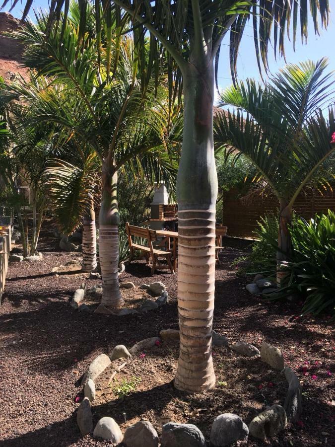 Apartamento Jardines Del Cura