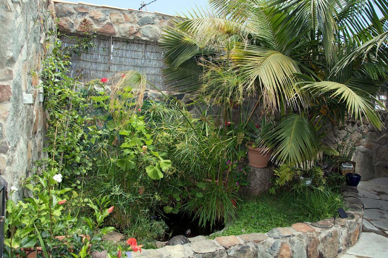 Casa El Drago-tafira Baja Hospedagem domiciliar Las Palmas de Gran Canária