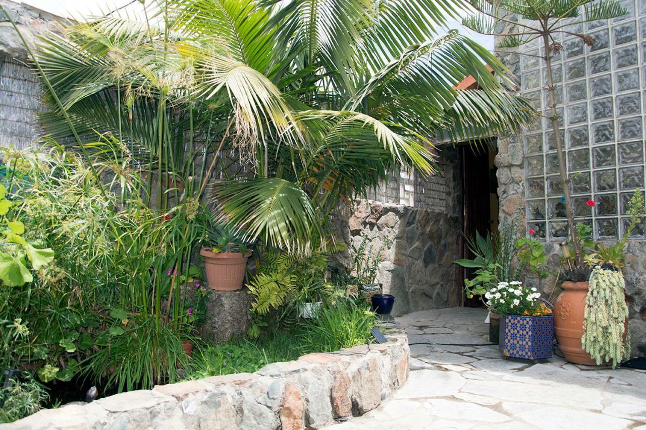 Hospedagem domiciliar Casa El Drago-tafira Baja