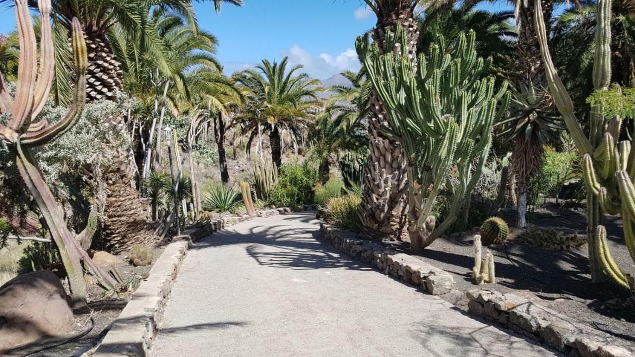 De Cactualdea Holiday home San Nicolas
