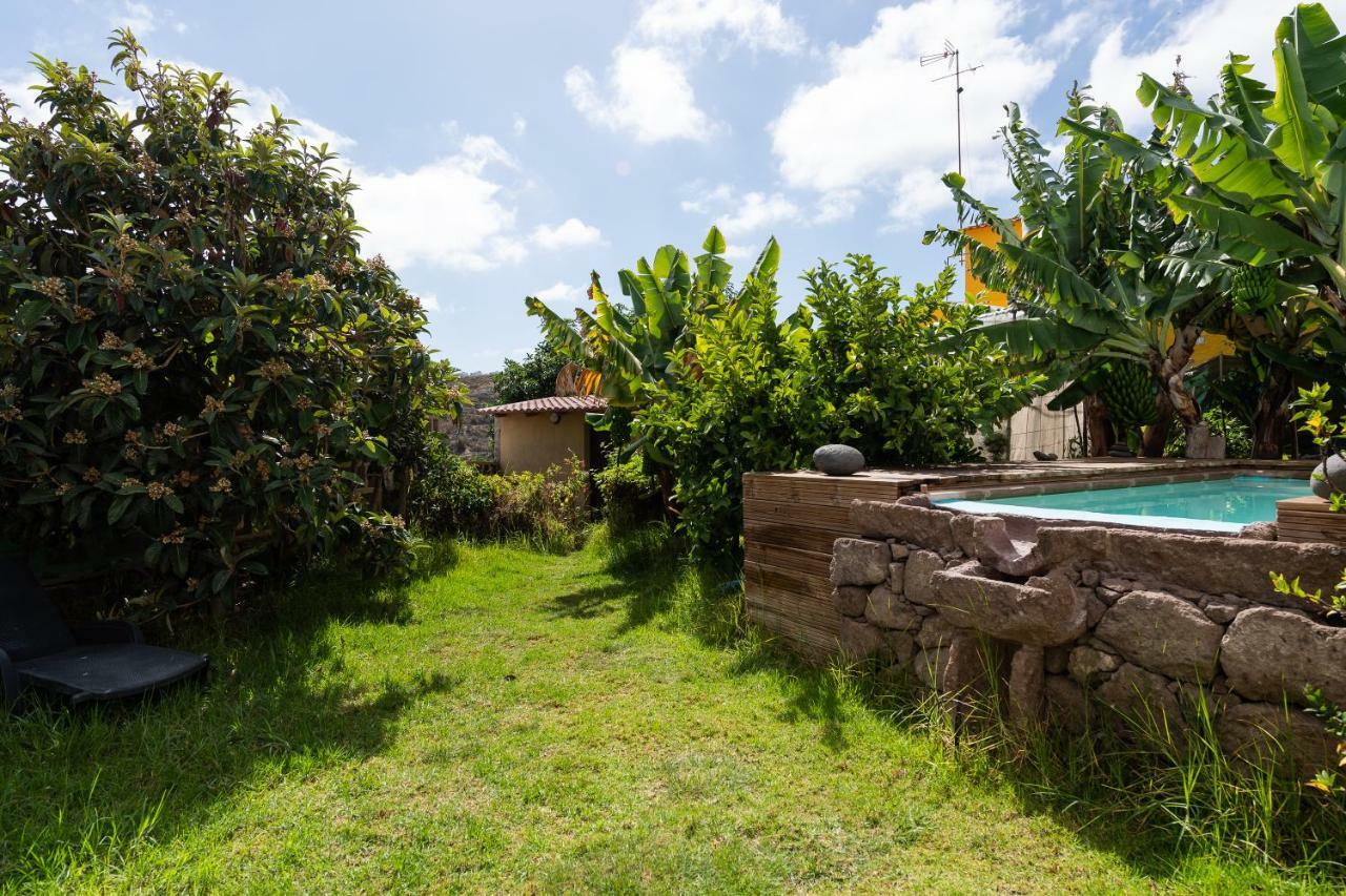 Canaria Piscina Jacuzzi Jardin Villa Santa Maria de Guia de Gran Canaria