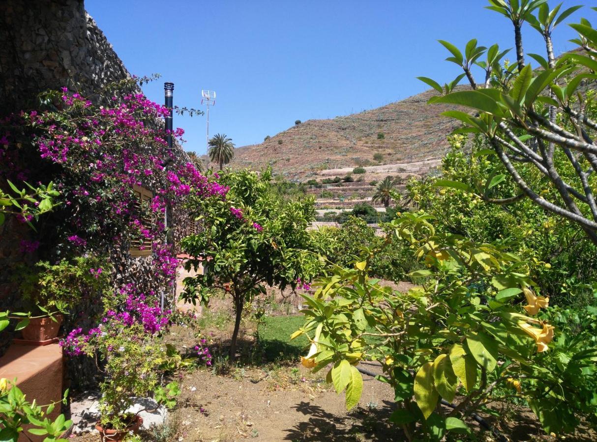 Casa de férias Peaceful House Set On A Vineyard & Work Friendly