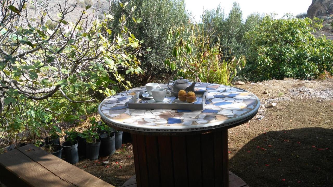 Peaceful House Set On A Vineyard & Work Friendly * Valsequillo