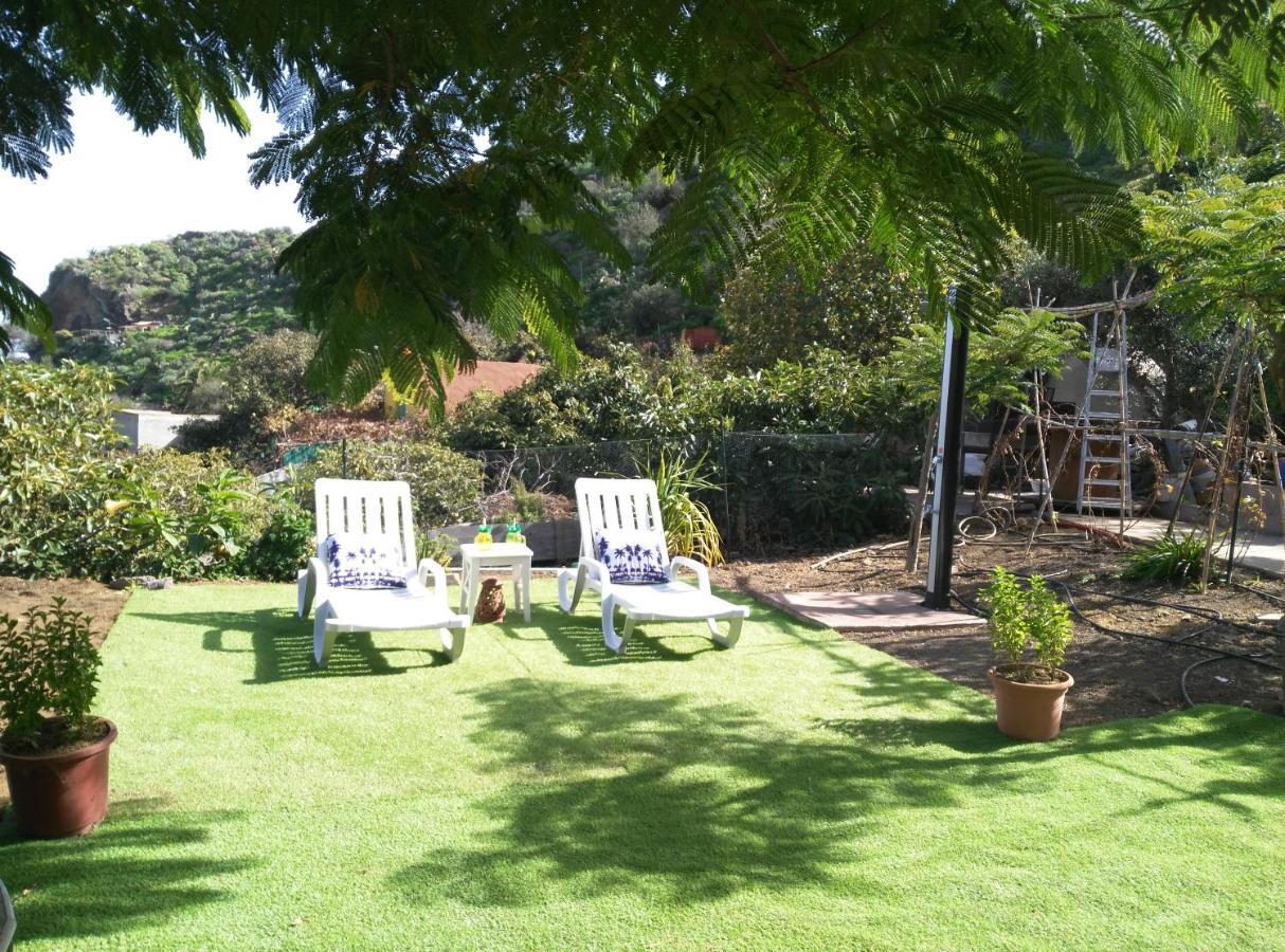 Peaceful House Set On A Vineyard & Work Friendly * Valsequillo