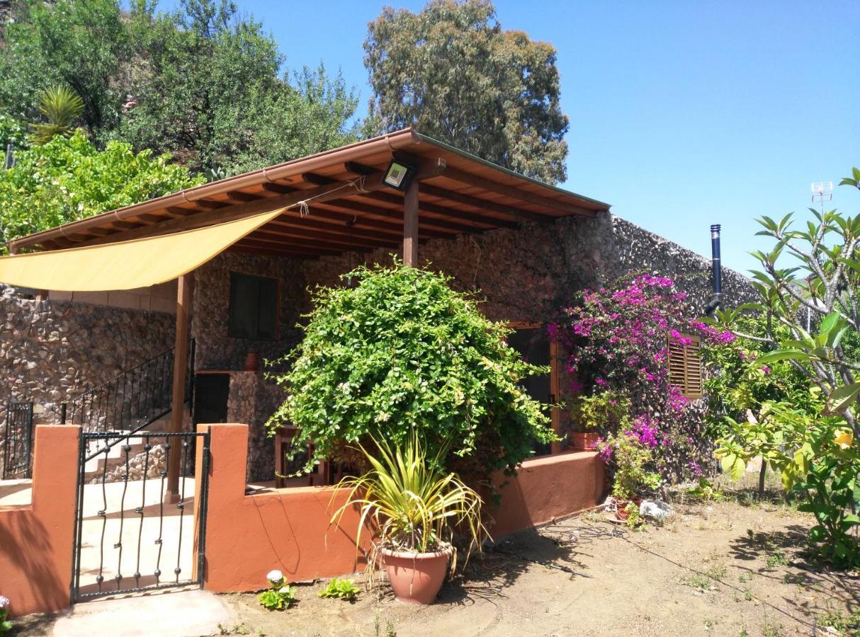 Peaceful House Set On A Vineyard & Work Friendly