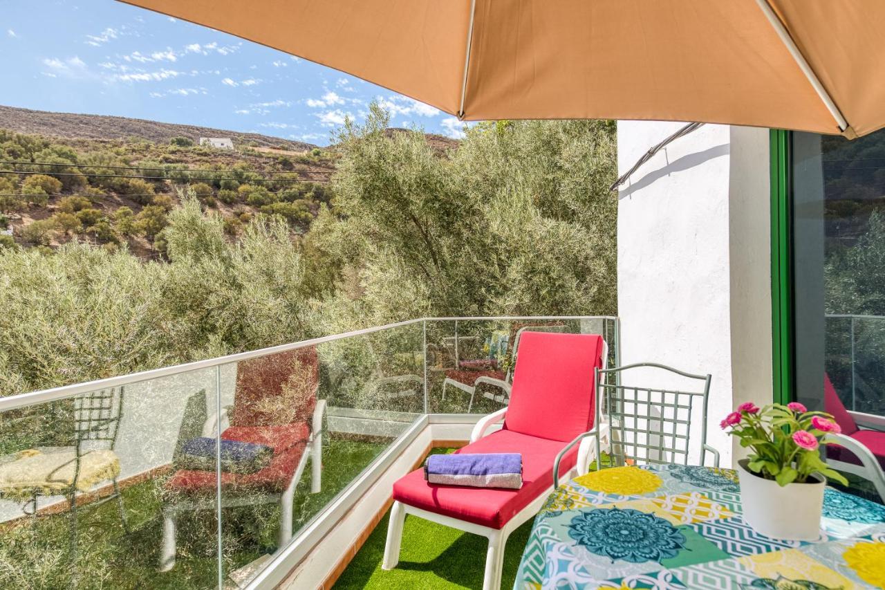 Villa Family Among Olive Trees *