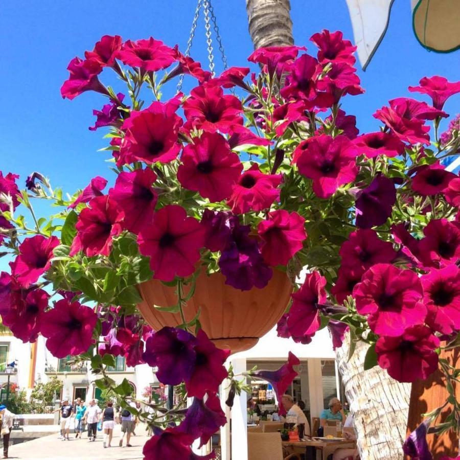 Holiday home Captains House Playa De Mogan By El Sirocco