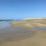 Oasis Playa Maspalomas