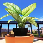 Bahia Meloneras